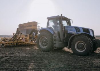 Площа посіву озимих зернових перевищила 5 млн га – Экономика