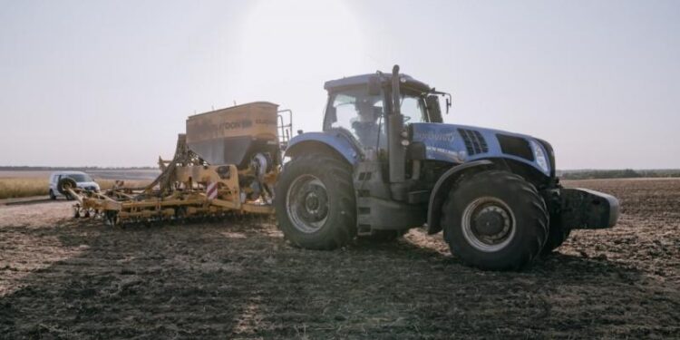 Площа посіву озимих зернових перевищила 5 млн га – Экономика