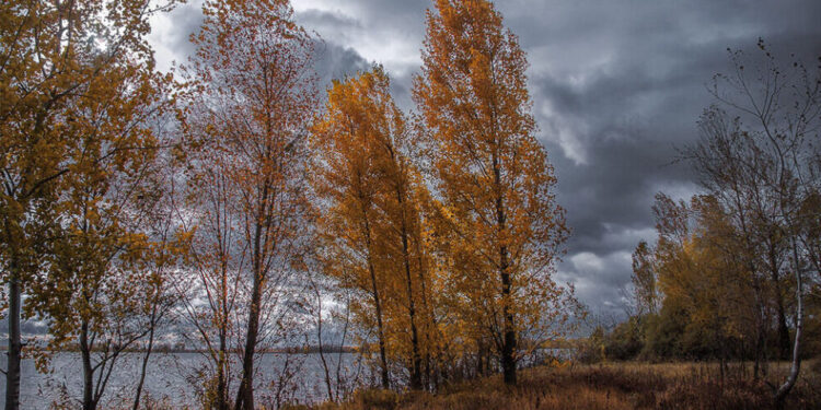 Погода на Тернопільщині 2-4 листопада – очікується мороз