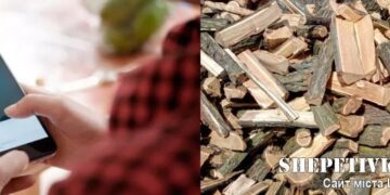 Продаж дров та взлом меседжера: дві мешканки Шепетівщини постраждали через шахраїв —Хмельнитчина