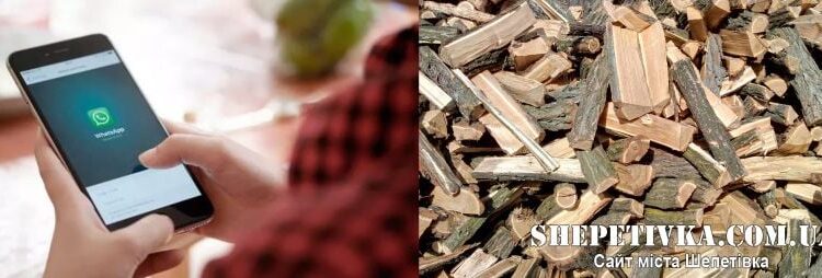 Продаж дров та взлом меседжера: дві мешканки Шепетівщини постраждали через шахраїв —Хмельнитчина