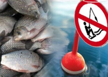 У Черкаській області заборонили вилов риби на зимувальних ямах