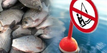 У Черкаській області заборонили вилов риби на зимувальних ямах