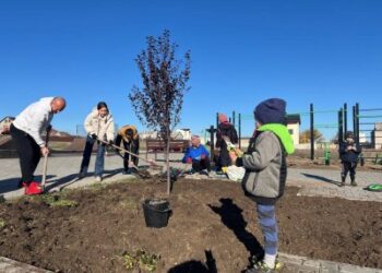 У мікрорайоні Тернівка висадили новий сучасний сквер » Миколаївський Оглядач