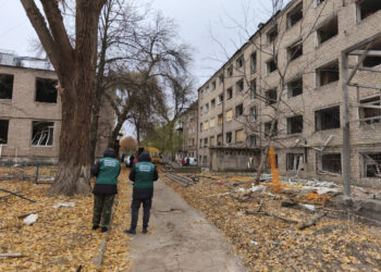 У Запоріжжі екологи обстежили ділянки, що постраждали від обстрілу 11 листопада – що вони виявили | Новости Запорожья