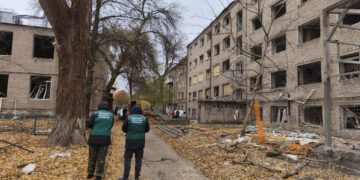 У Запоріжжі екологи обстежили ділянки, що постраждали від обстрілу 11 листопада – що вони виявили | Новости Запорожья