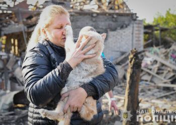 У Запоріжжі рятували котів з під завалів будинку, що зараз з тваринами – наслідки обстрілу Запоріжжя 10 жовтня | Новости Запорожья
