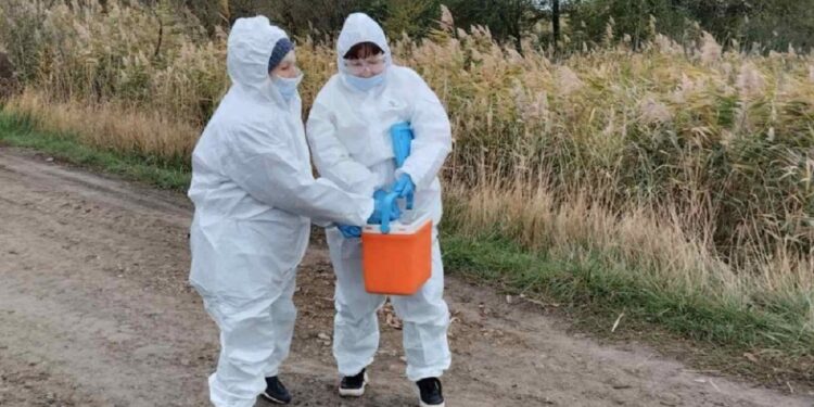 У Запоріжжі завершили сезонну вакцинацію тварин від сказу – деталі | Новости Запорожья