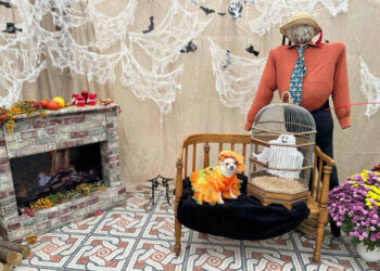 У запорізькому ботсаду облаштували оригінальну локацію – чому присвячена | Новости Запорожья