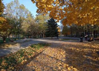 У запорізькому парку встановили урни – сквер Героїв Національної Гвардії України | Новости Запорожья