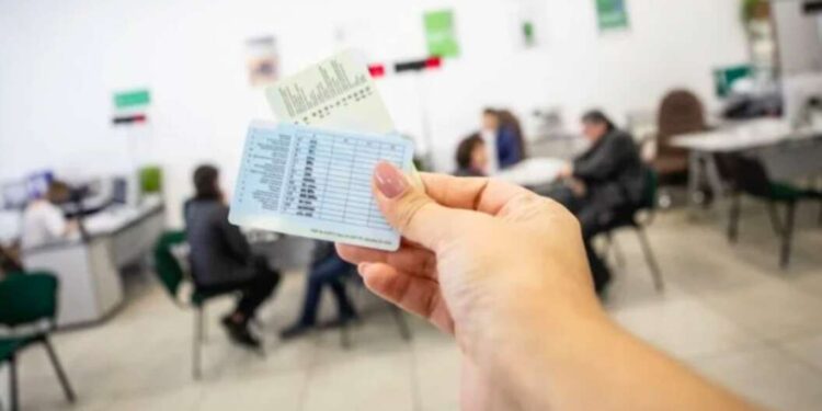 Водійське посвідчення 2024: як додати нову категорію швидко та просто | |