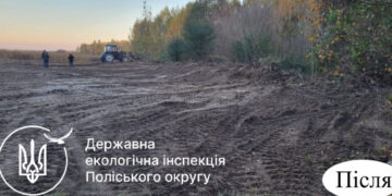 За кілька днів несанкціоноване сміттєзвалище прибрали в Коростенському районі | Журнал Житомира