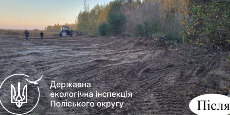 За кілька днів несанкціоноване сміттєзвалище прибрали в Коростенському районі | Журнал Житомира