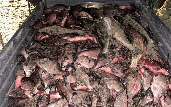 Збитки на понад 6 мільйонів гривень: двоє чоловіків наловили 14 мішків риби — Новини Черкащіни