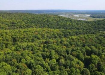 Змінились правила відвідування лісів на Черкащині — Новости Черкасс