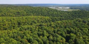Змінились правила відвідування лісів на Черкащині — Новости Черкасс