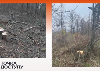 Невідомі у заказнику в Кіровоградській області вирубали дерев на понад мільйон гривень