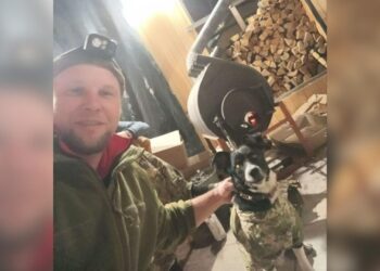 Молодші побратими: історії з тваринами на фронті – інтерв’ю з воїном | Новини Точка доступу