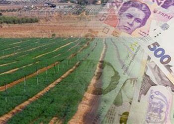 Для євроінтеграції українським фермерам необхідні значні дотації – ЭКОНОМИКА