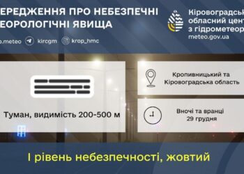 Погода в Кропивницькому та Кіровоградській області на 29 грудня