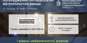 Погода в Кропивницькому та Кіровоградській області на 29 грудня