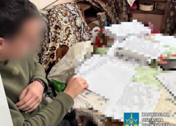 Жителя Олександрії підозрюють у розробці фейкового сайту оформлення соціальної допомоги “єДопомога”