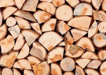 Деякі жителі Канівщини отримають допомогу на придбання дров