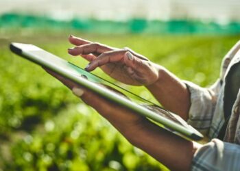 В Україні оновлено критерії для визначення важливих агропідприємств у особливий період – ЭКОНОМИКА