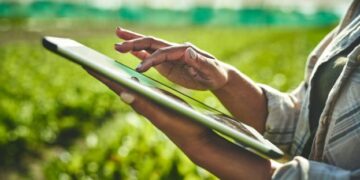 В Україні оновлено критерії для визначення важливих агропідприємств у особливий період – ЭКОНОМИКА