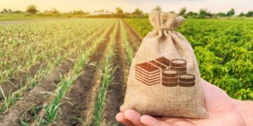 Які нові правила оподаткування сільськогосподарських земель діятимуть у 2025 році – Экономика