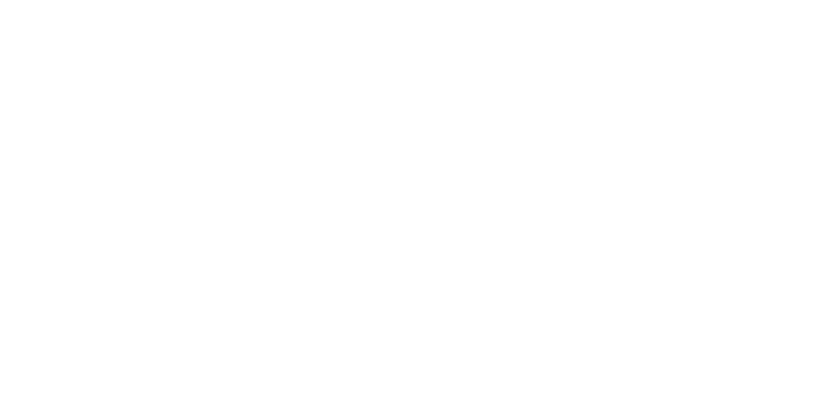 Кубок мира в Хохфильцене. Мужская гонка преследования. Видео трансляция | Биатлон |