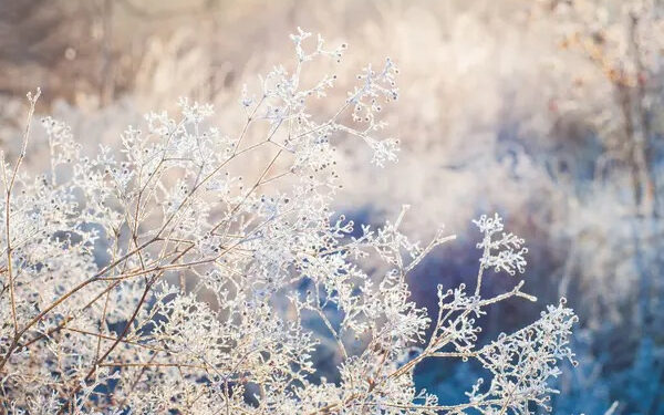 Місцями туман: відомо якою буде погода на Івано-Франківщині 26 грудня