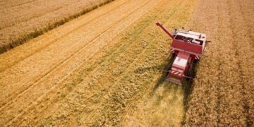 На Черкащині аграрії завершили збір зернових 
