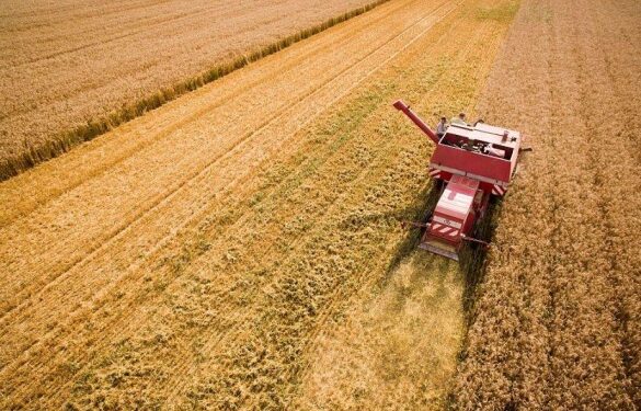 На Черкащині аграрії завершили збір зернових