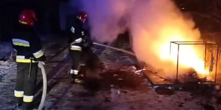 На проспекті Миру у Шепетівці горів смітник —Хмельнитчина