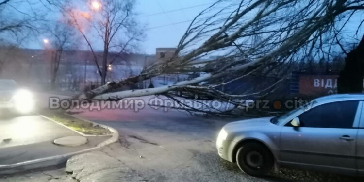 На Запоріжжя 16 грудня обрушилася негода, фото, відео – на 17 грудня синоптики теж прогнозують буревій | Новости Запорожья