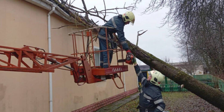 На Житомирщині дерево повалило на дах дитячого садочка | Журнал Житомира