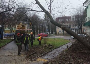 Негода вирує у Рівному: вітер повалив дерева (ФОТОФАКТ)