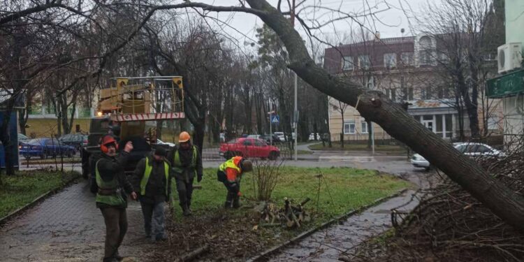 Негода вирує у Рівному: вітер повалив дерева (ФОТОФАКТ)