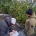 Незаконно зрубані ялинки: на Полтавщині виявили порушників