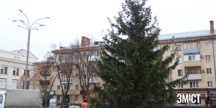 Новорічна ялинка в Полтаві: перші фото- ПОЛТАВА СЬОГОДНІ
