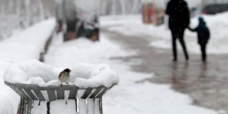 Ожеледиця і жовтий рівень метео небезпеки: прогноз погоди на Житомирщині | Журнал Житомира