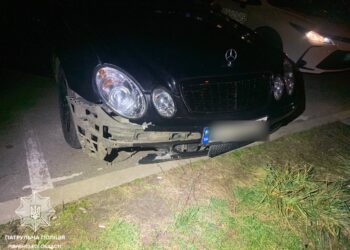 П’яний водій збив собаку, залишив його помирати і втік з місця ДТП