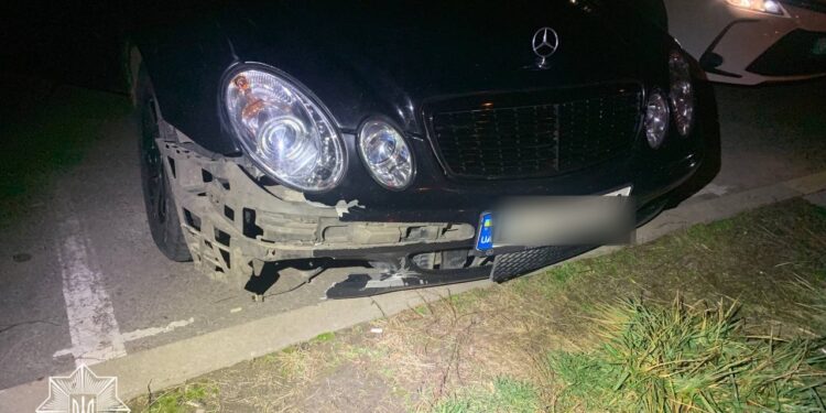 П’яний водій збив собаку, залишив його помирати і втік з місця ДТП