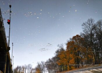 Погода в Запоріжжі 30 листопада та 1 грудня – що прогнозують синоптики | Новости Запорожья