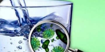 У дитсадку Золотоноші виявили порушення якості води — Новости Черкасс