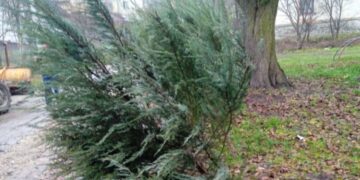 У Кременці вандали знову нашкодили у сквері Андрія Пушкаря