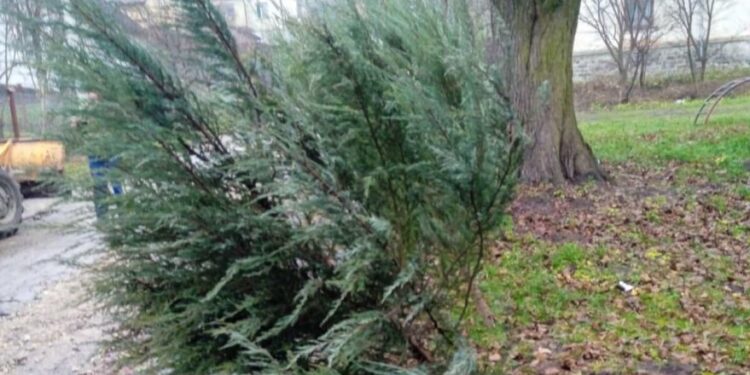 У Кременці вандали знову нашкодили у сквері Андрія Пушкаря