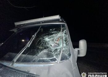 У Миколаївському районі правоохоронці встановлюють обставини ДТП, у якій загинула жінка » Миколаївський Оглядач