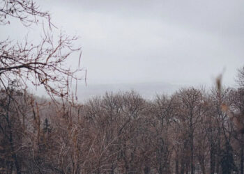 У Запоріжжі потеплішає на вихідних – який прогноз погоди | Новости Запорожья